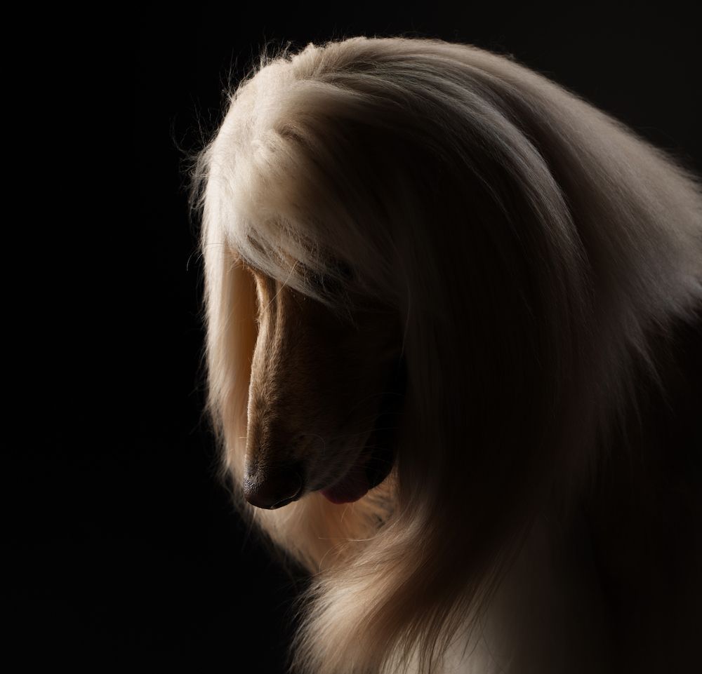 To Trim or Not to Trim